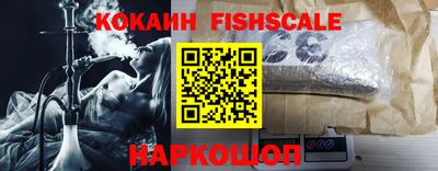 крисы Партизанск