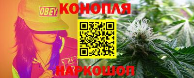 крисы Партизанск