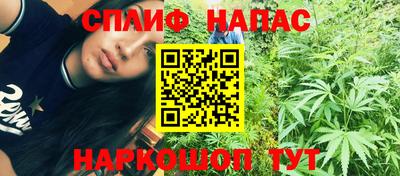 крисы Партизанск