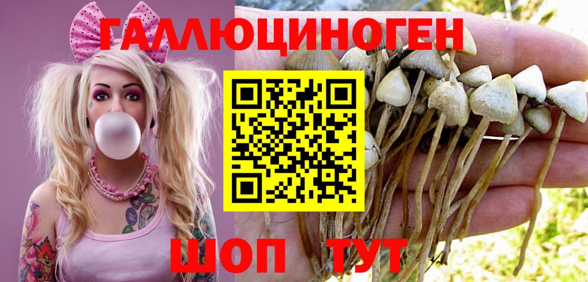 Рославль  Псилоцибиновые грибы Cubensis  Вход с VPN  Галлюциногенные грибы Psilocybine cubensis 