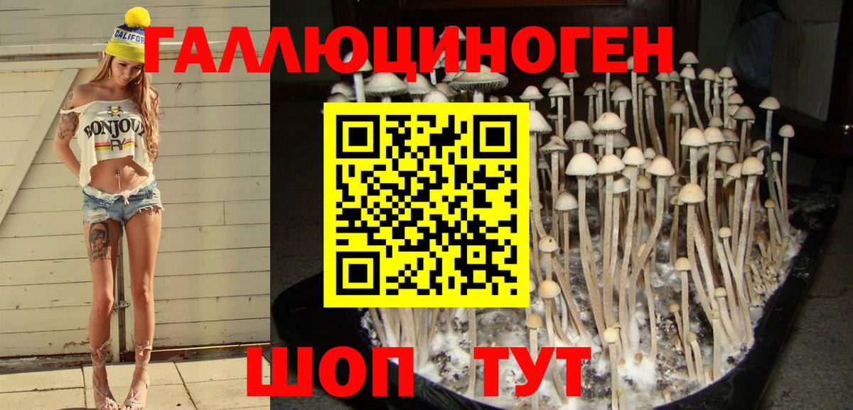 Галлюциногенные грибы Magic Shrooms Рославль